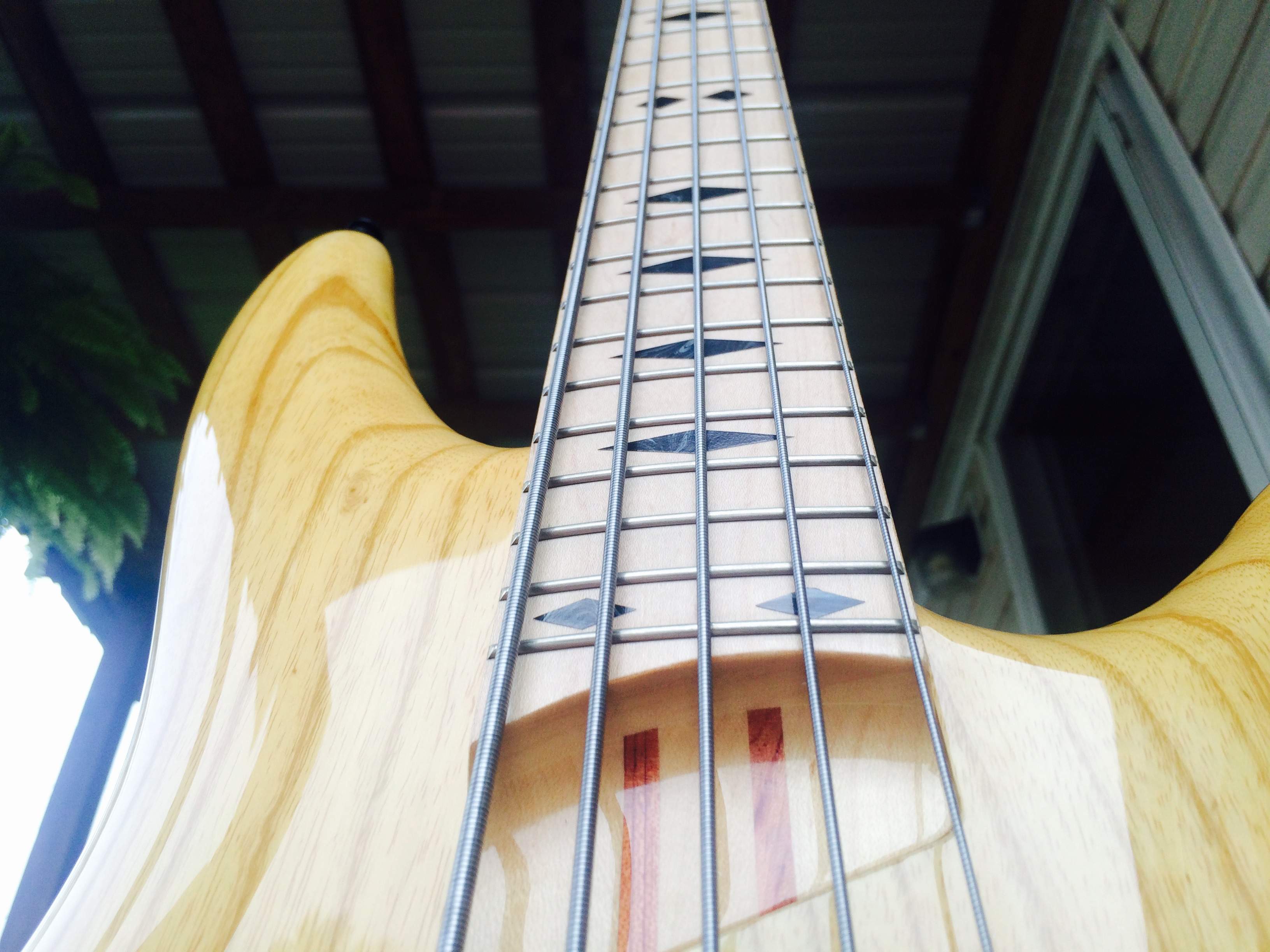 Bass1.jpeg