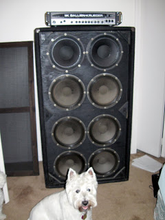 bass1.jpg