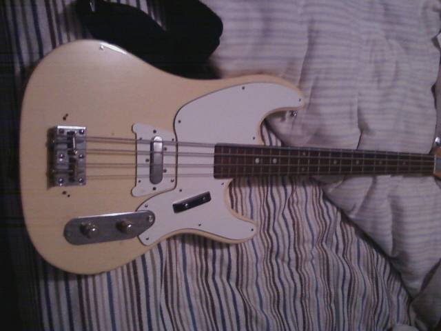bass1.jpg