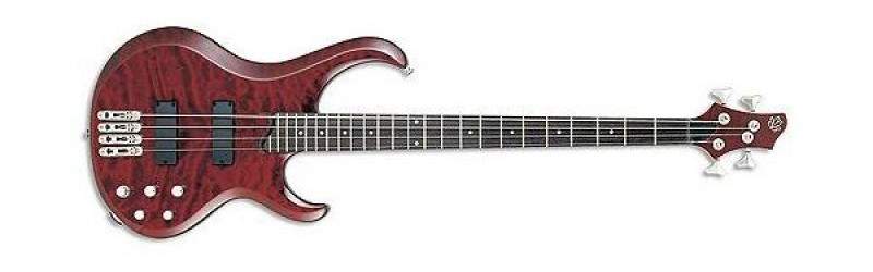 bass1.jpg