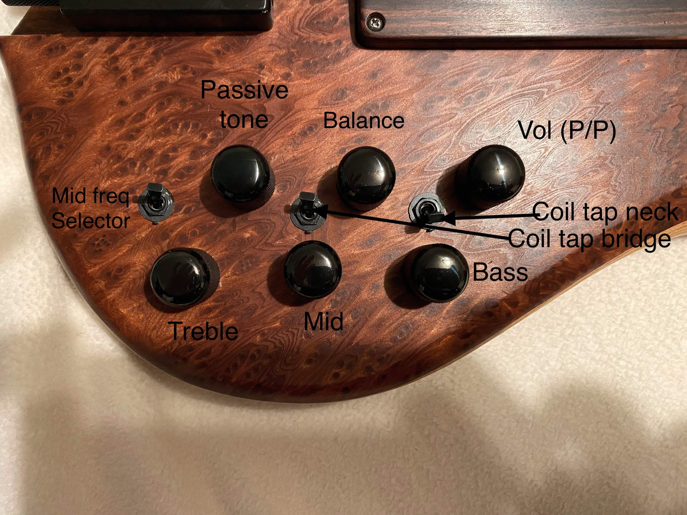bass1.jpg