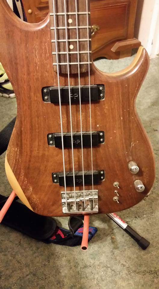 bass1.jpg