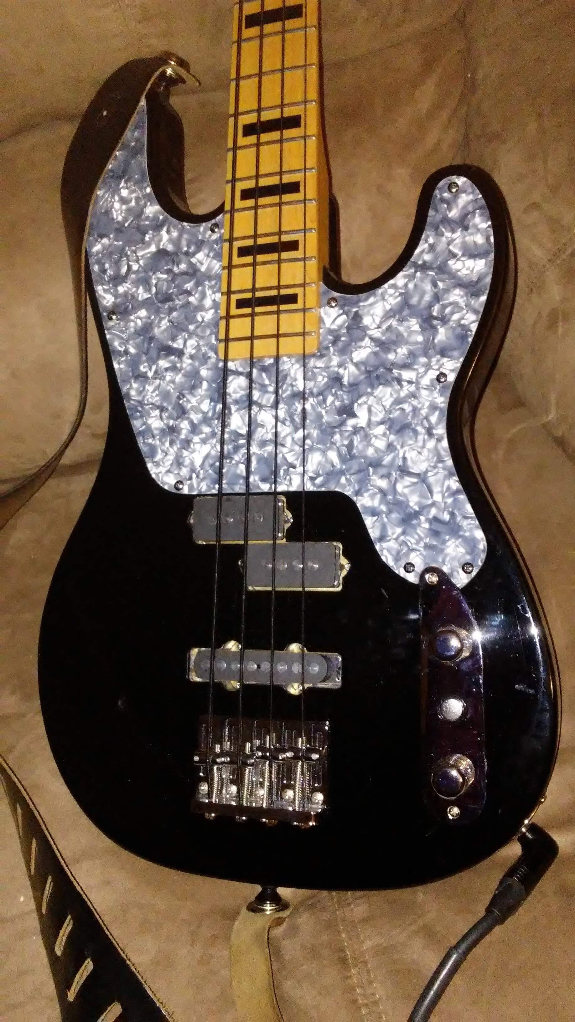 Bass10.jpg