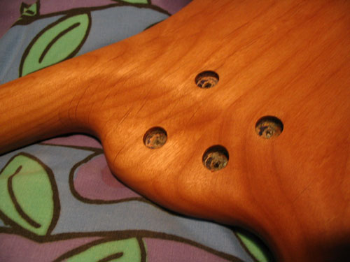 bass12.jpg