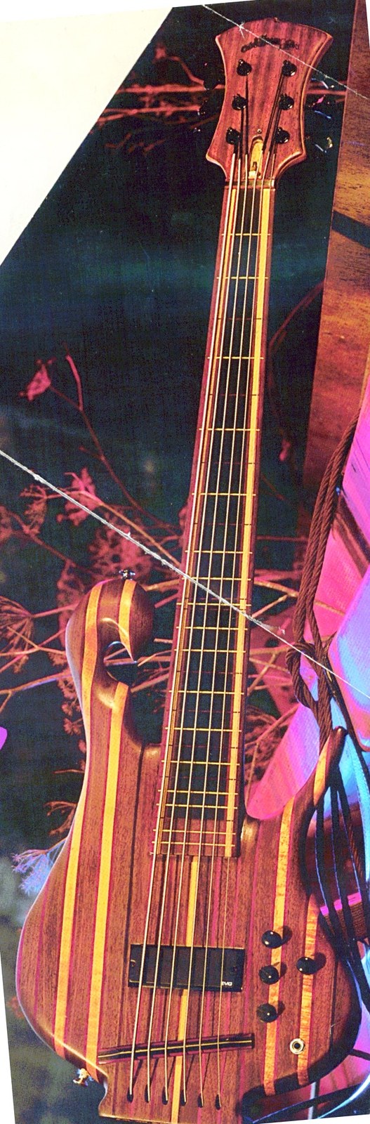 bass17.jpg
