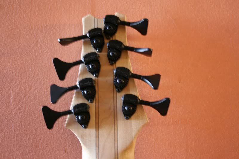 bass1headbackside.jpg
