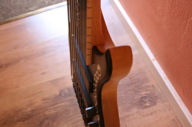 bass1sideview.jpg