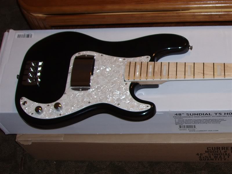 bass2-1.jpg