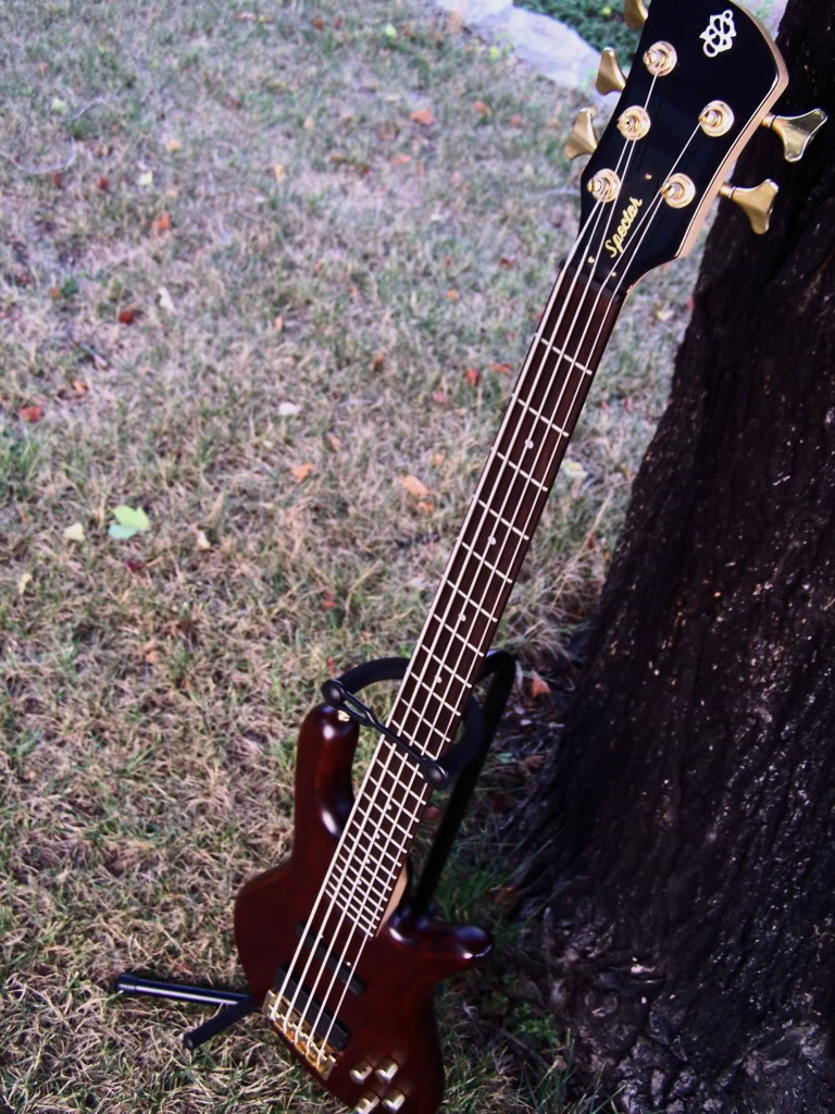 bass2-2.jpg