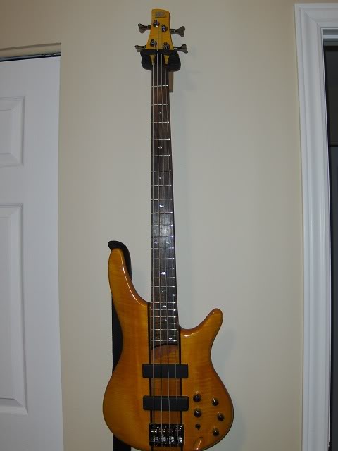 bass2.jpg