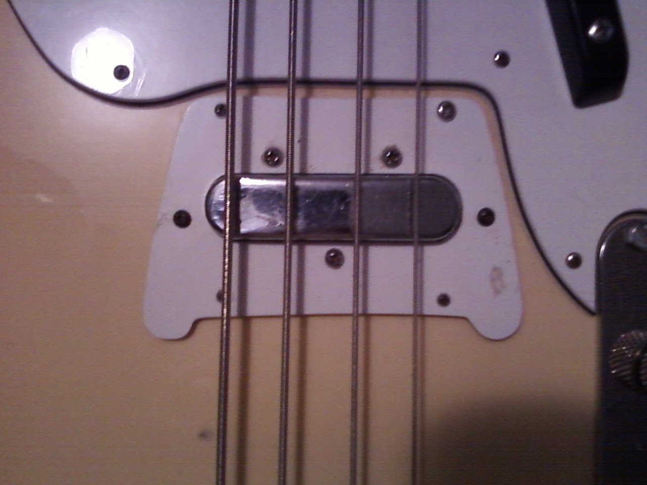 bass2.jpg