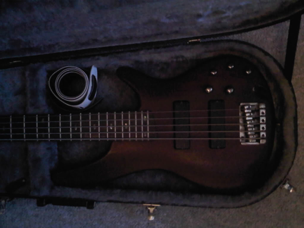 bass2.jpg