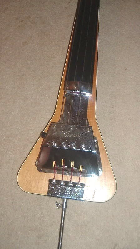 bass2.jpg