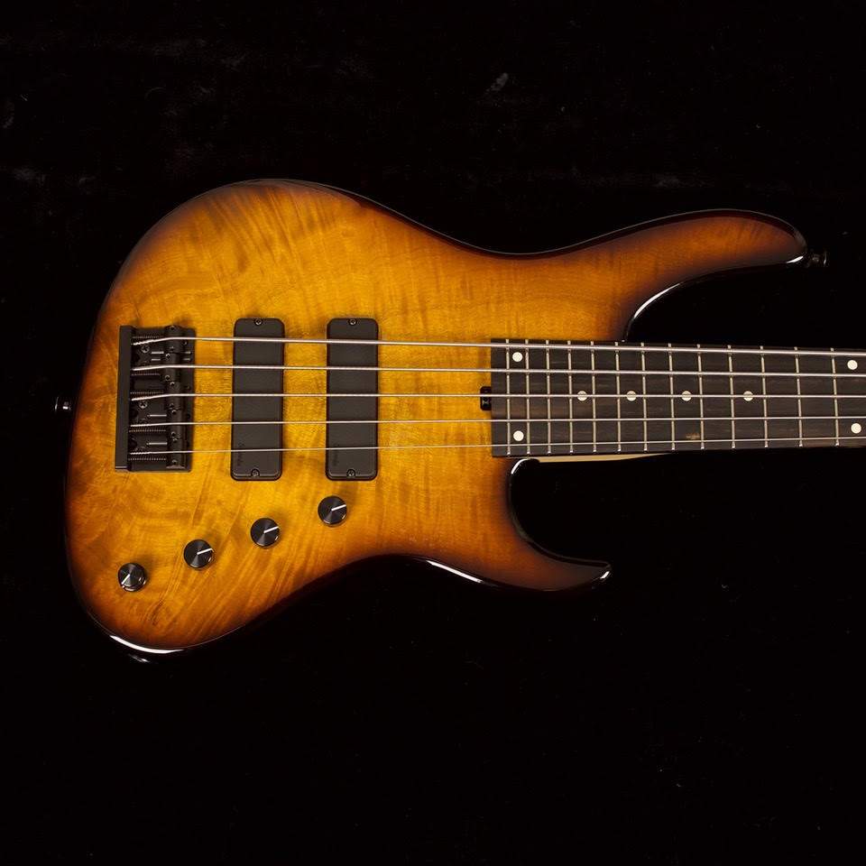 bass2.jpg
