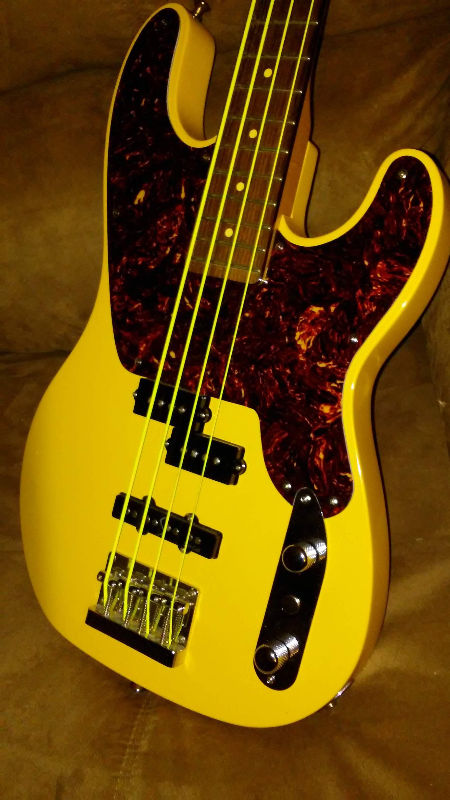 Bass2.jpg