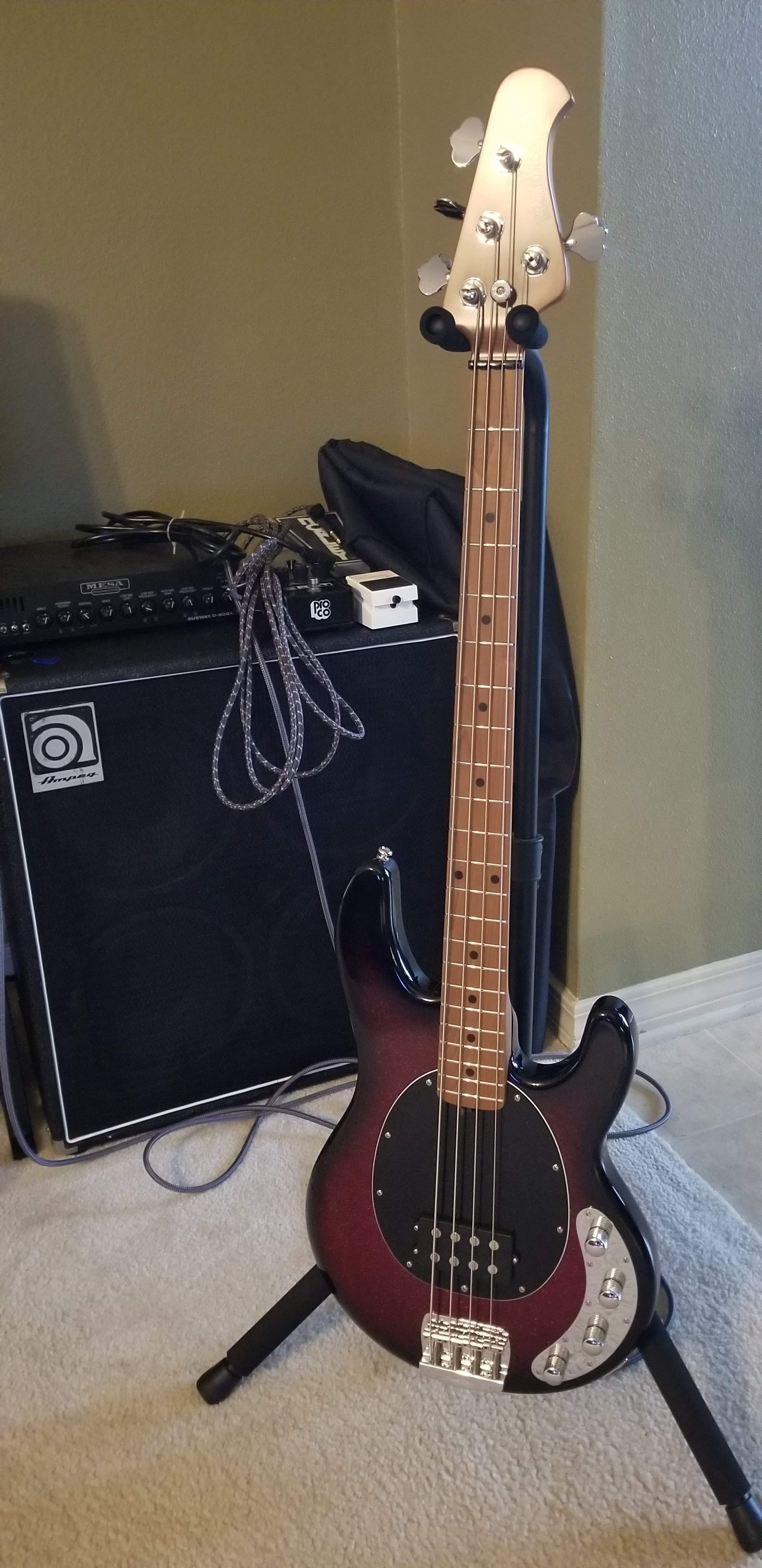 bass2.jpg