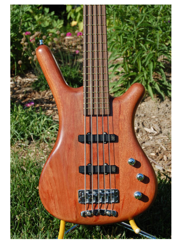 bass2.png