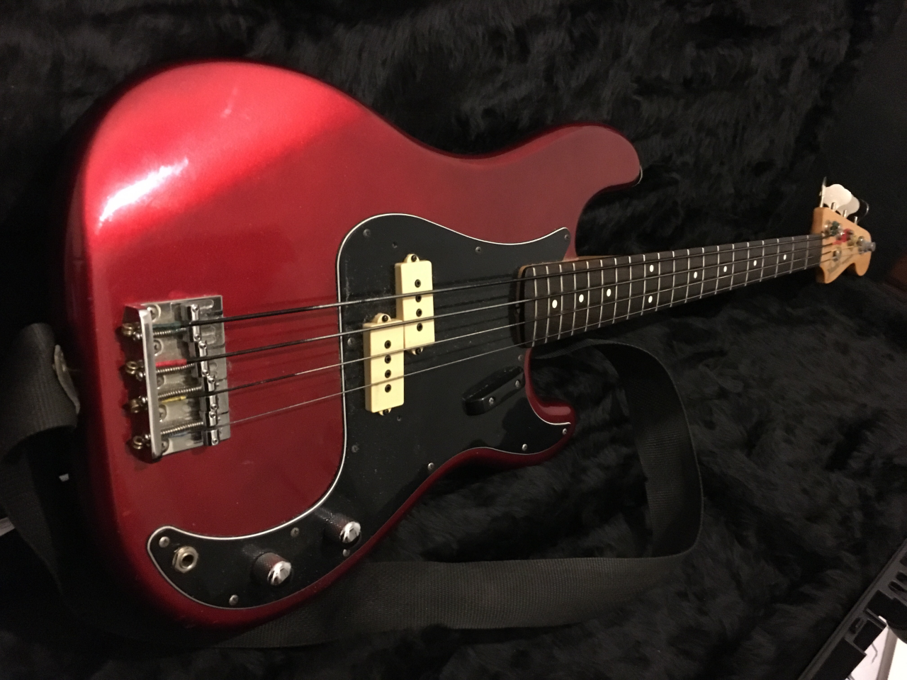 Bass2.png