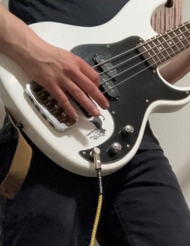 Bass2.png