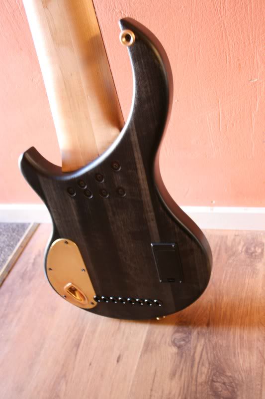 bass2bodybackside.jpg