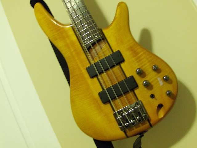 bass3.jpg