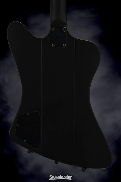 Bass3.jpg
