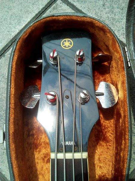 bass3.jpg