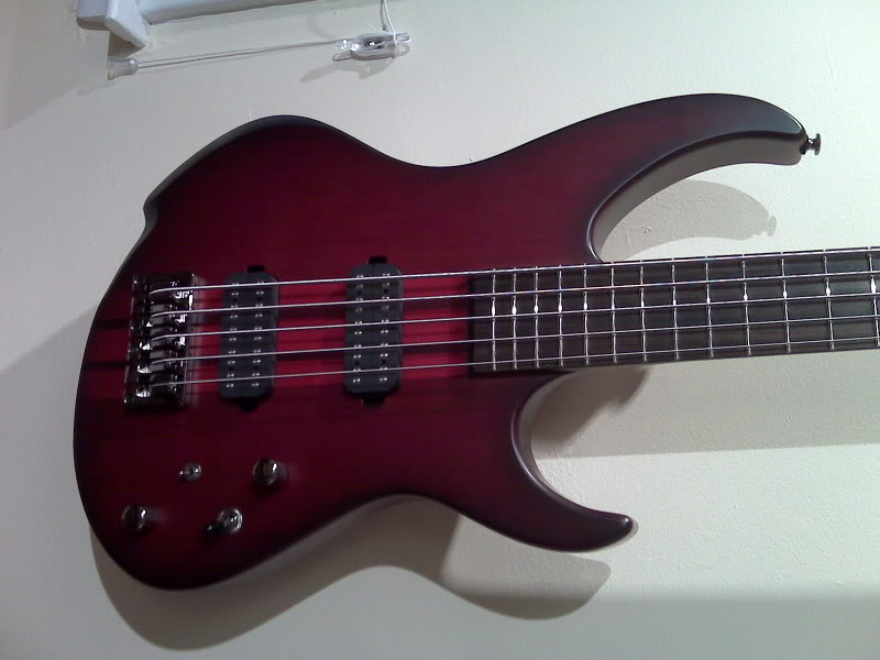 bass4.jpg