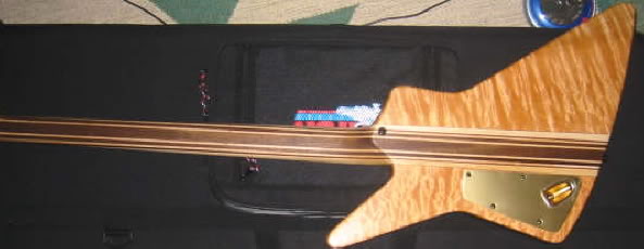 bass4.jpg