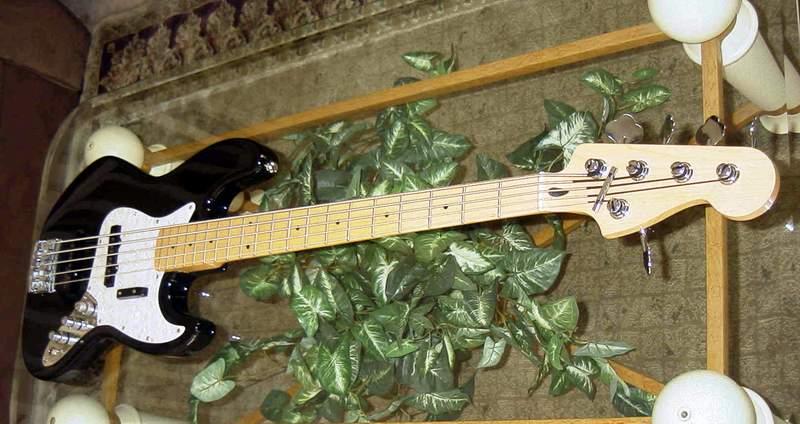 Bass5-0023.jpg