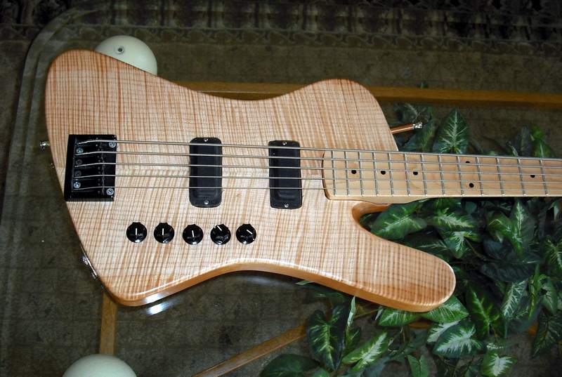 Bass5-0082.jpg