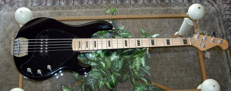 Bass5-0127.jpg