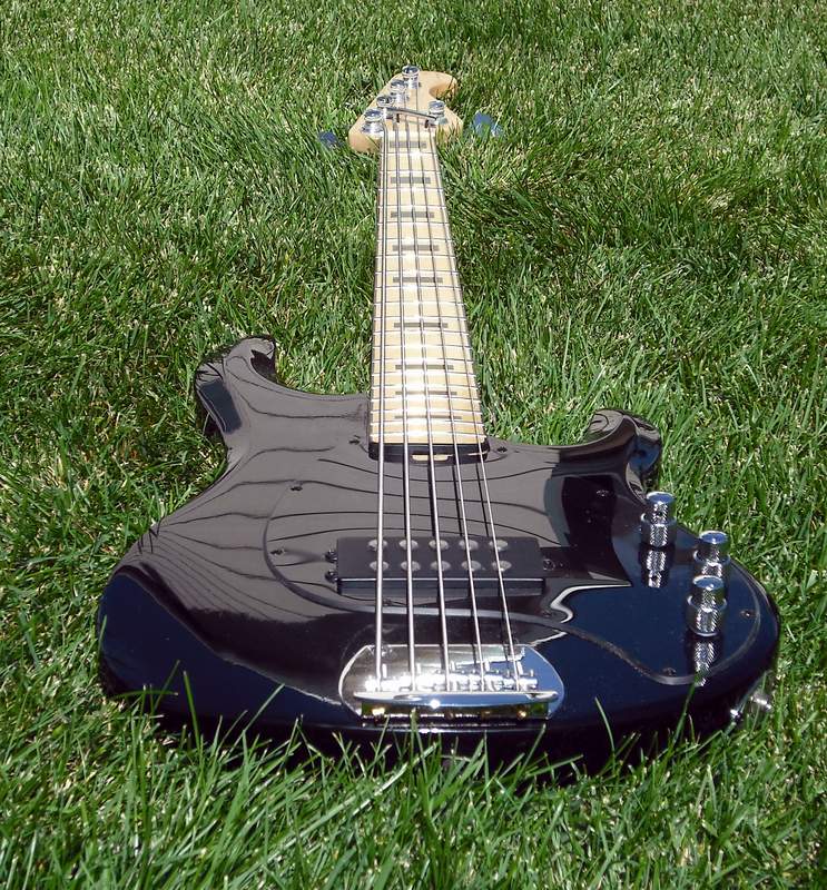 Bass5-0137.jpg