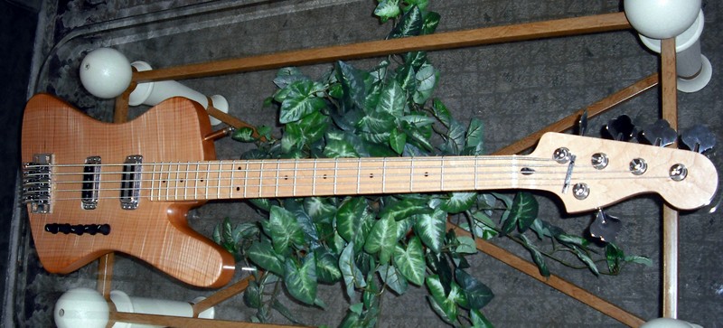 bass5%20043.jpg