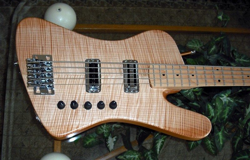 bass5%20044.jpg
