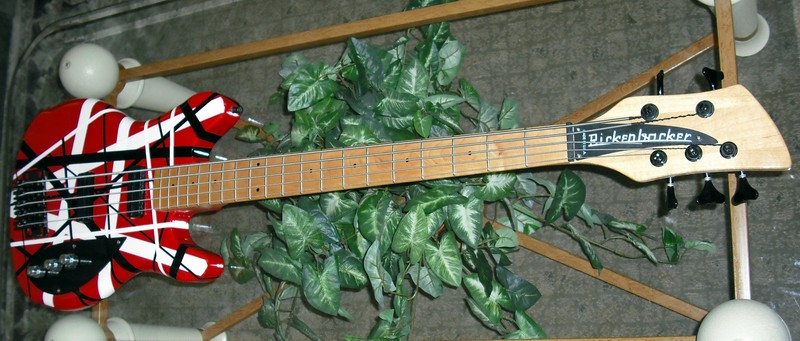 bass5%20067.jpg