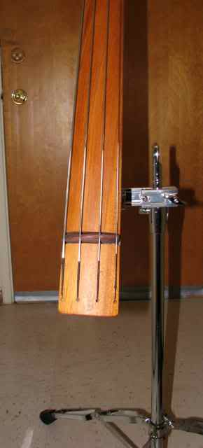 BASS5.jpg