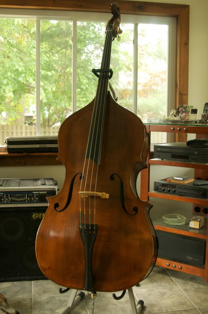 bass5.jpg