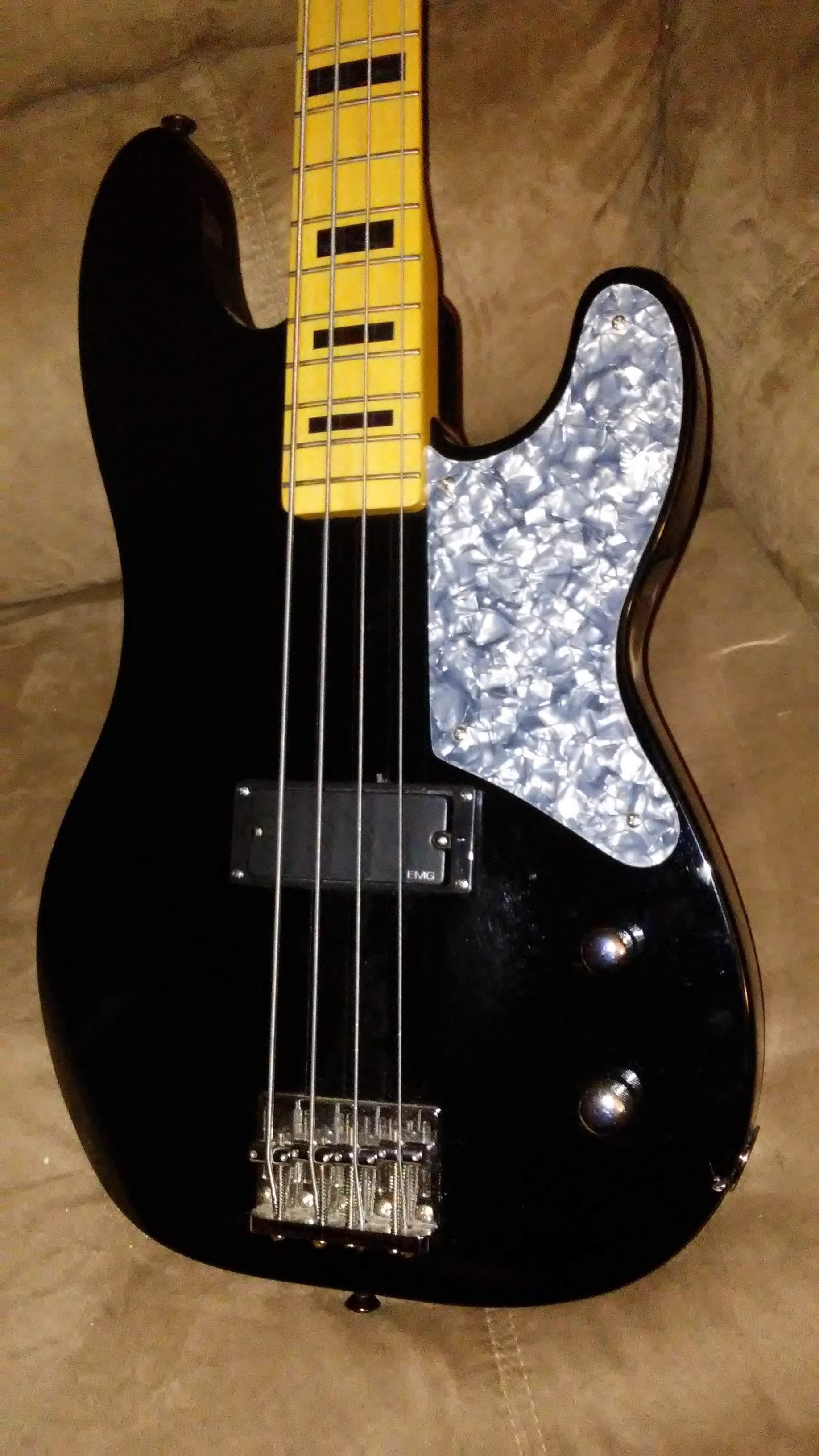 Bass5.jpg