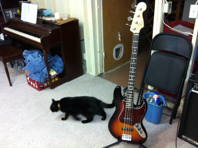 bass5_zps5fa982ac.jpg