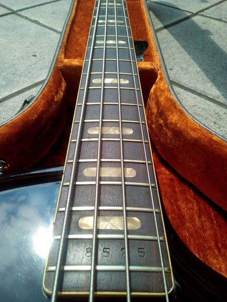 bass6.jpg