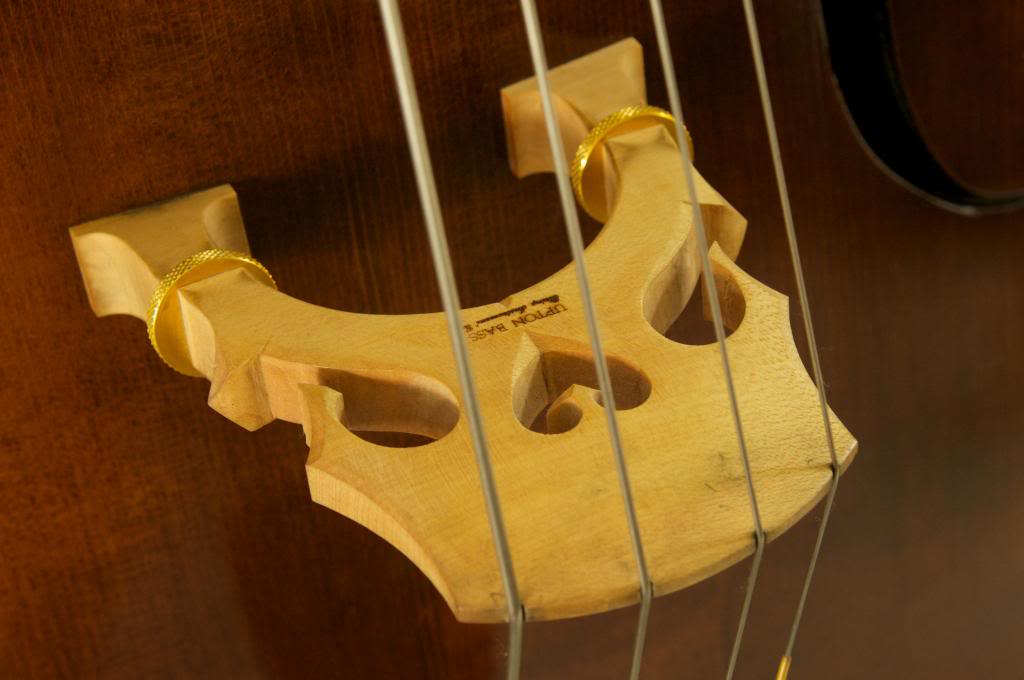 bass8.jpg