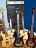 bass9-1.jpg