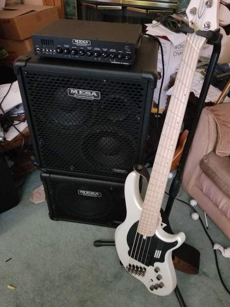 Bass_1.jpg
