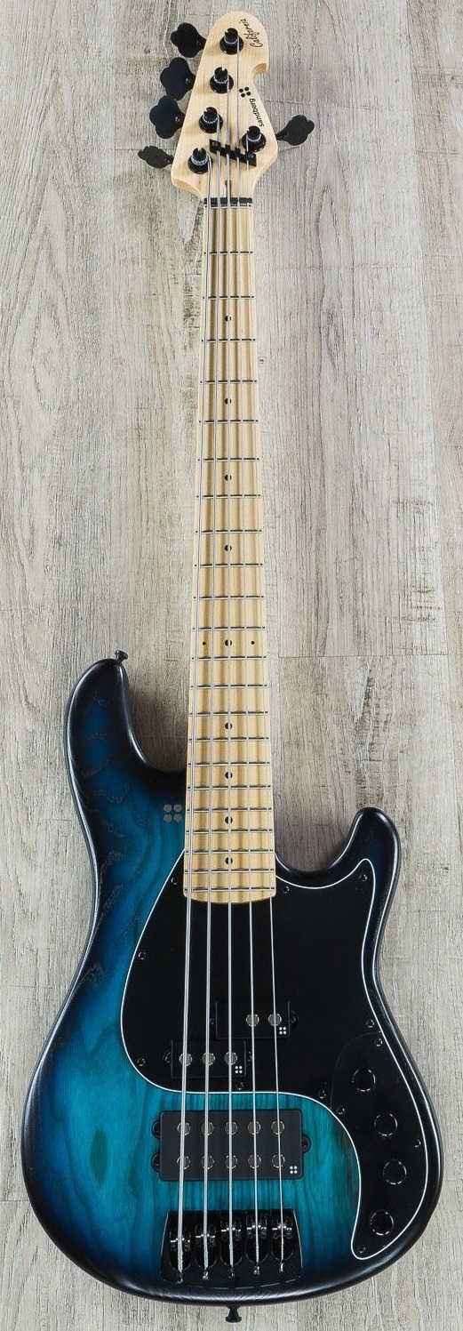 Bass_2.jpg