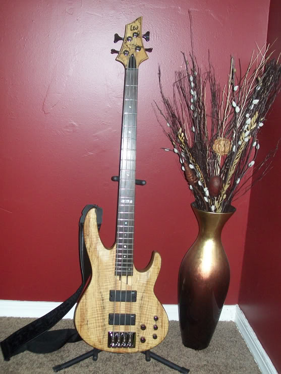 bass_3.jpg
