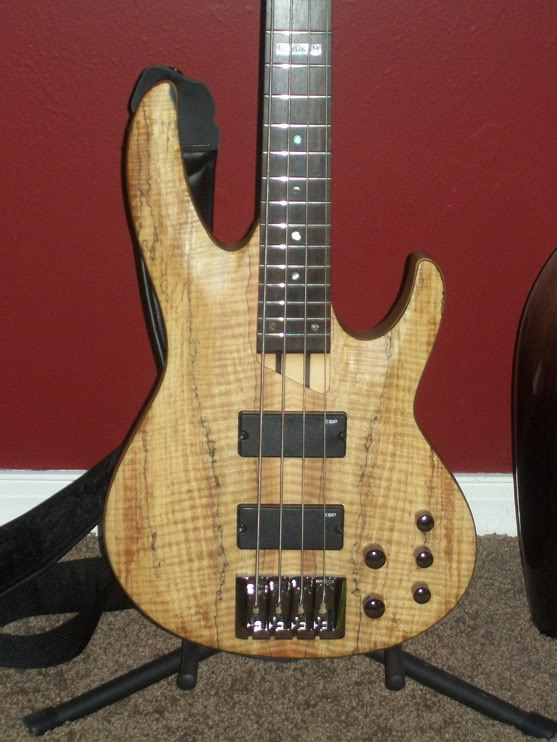 bass_5.jpg