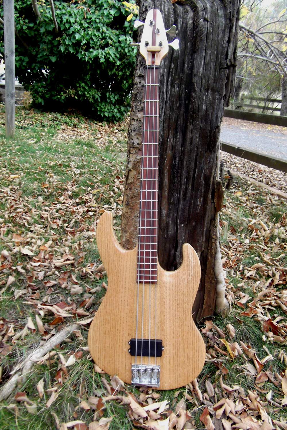 bass_5.jpg