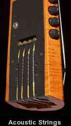 bass_acoustic_strings.jpg