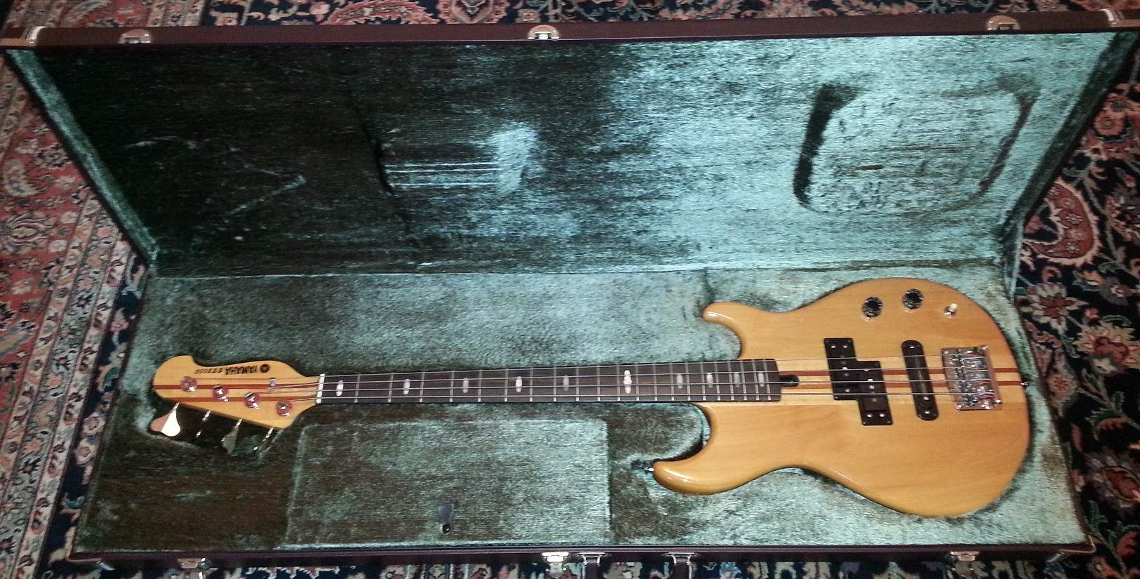 Bass_in_Case.jpg